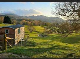 Shepherds hut above mawddach estuary，位于多尔盖罗的露营地