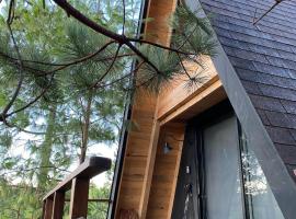 Caba&ntilde;as Chalets Piedra Alta Zacatlan，位于Camotepec的宠物友好酒店