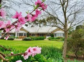 Seppeltsfield Vineyard Retreat - 3 Bedroom Holiday Home