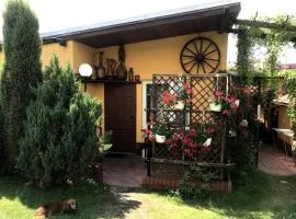 Mazury - Domki letniskowe u Teresy