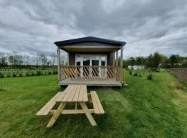 Serene chalet in Schoonloo with patio