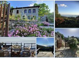 The Ambassador Residence - Traditional stone house，位于Katochori的别墅