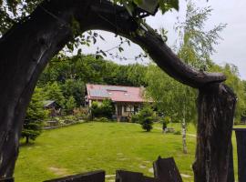 Małopolskie Swojskie，位于Olszyny的酒店