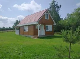 Dom Pod Żurawiami