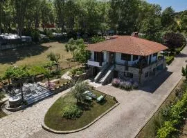 Sotiria house apartment sea view lovely garden