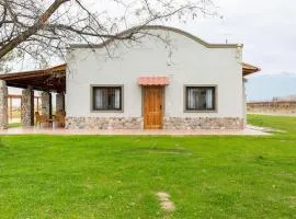 Calivista Vineyard