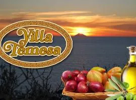 Villa Temesa