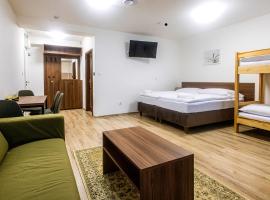Old Town Hall - Stará radnice - Ratusz Staromiejski -0,5km from highway，位于博胡明的酒店