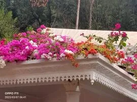 Moon moon Garden