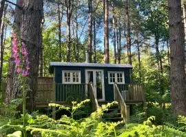 King Nutkin Shepherds Hut