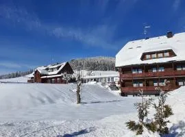 B und B Titisee Hotel Sonnenmatte nahe Badeparadies