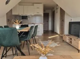 Apartamenty Jeleń Pod Grapom