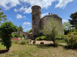 Château Saint-Martin，位于卡尔卡松的乡间豪华旅馆