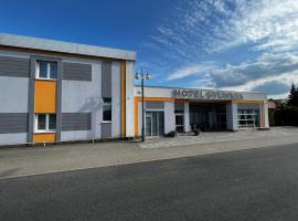 Hotel SYLWANA，位于Białe Błota的酒店