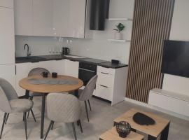 Luksusowy Apartament EDITH Giżycko，位于吉日茨科的酒店