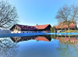 Penzion U kováře，位于Nový Hrádek的住宿加早餐旅馆