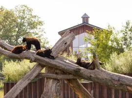 Parc Animalier de Sainte-Croix