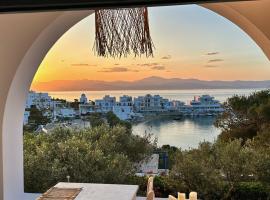 Magnifique Villa sur la plage de Piso Livadi - Paros，位于皮索利瓦迪的酒店