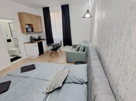 Belvárosi Lux Apartman，位于瓦沙罗什瑙梅尼的酒店