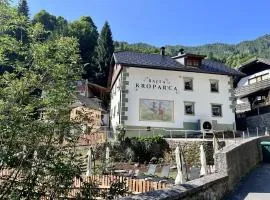 Bajta Kroparica