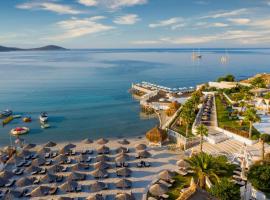 Design Plus Seya Beach Hotel，位于阿拉恰特的酒店