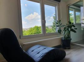 Ferienwohnung mit Weitblick，位于魏斯基兴的酒店