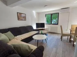 Apartman Trupsi