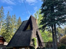 Mountain Getaway Cabin，位于凯亚的乡村别墅