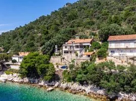 Apartments by the sea Ubli, Lastovo - 16599