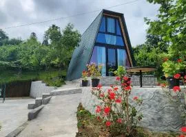 Daiana Green House