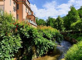 ArtHouse Am Kurpark Bad Schandau，位于巴特尚道的酒店
