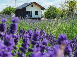 Vacation Home - NEST Kalnik，位于Kalnik的度假屋