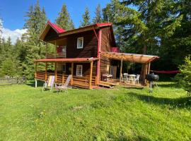 Cosy wooden house in the heart of Apuseni.，位于贝利什的别墅