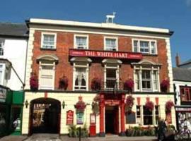 The White Hart，位于安德沃的酒店