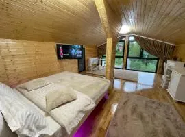 Pensiunea AlexOlar New One