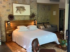 BoisBolchet Ecolodge-SPA，位于Bouillargues的木屋