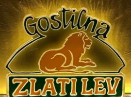 Gostilna in apartmaji Zlati lev - Maribor，位于马里博尔的酒店