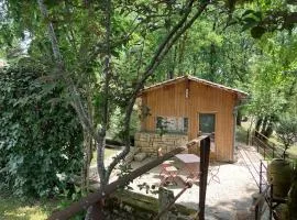 Cabane atypique pour séjours déconnectés