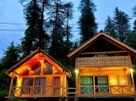 The forest cabin Jibhi，位于Shoja的宠物友好酒店