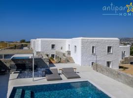 Antiparos Homes，位于安迪帕罗斯岛的别墅