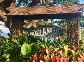 Noelani 104