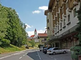 Cosy Apartment near Faaker See