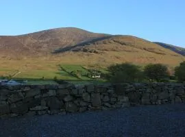 金雀花山农场度假屋