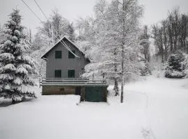 Holiday house with a parking space Fuzine, Gorski kotar - 20518