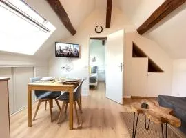 Le vieux MassyRER600mOrly20 minNetflixNeuf M13
