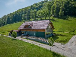 Ranch Stojnšek House With Sauna - Happy Rentals，位于罗加斯卡斯拉提纳的乡村别墅