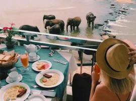 Hotel Elephant Park - NEW DEAL! Exclusive Offers on Pickups Available!