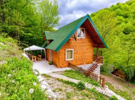 Brvnare 3 zvezde brvnara Veljko，位于Kokin Brod的酒店