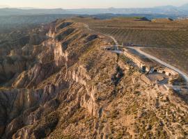 Cuevas el Torriblanco，位于Gorafe的乡间豪华旅馆