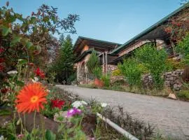 Tree of Life Resort Dehradun Foothills